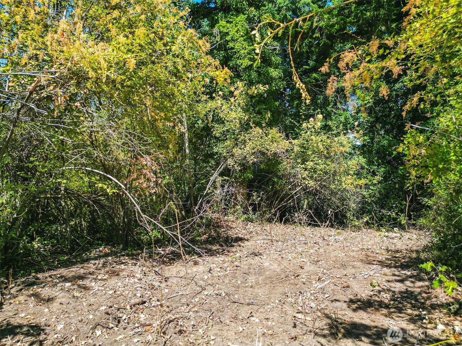 999 Reed Street Port Townsend, WA 98368 - Photo 11 of 16