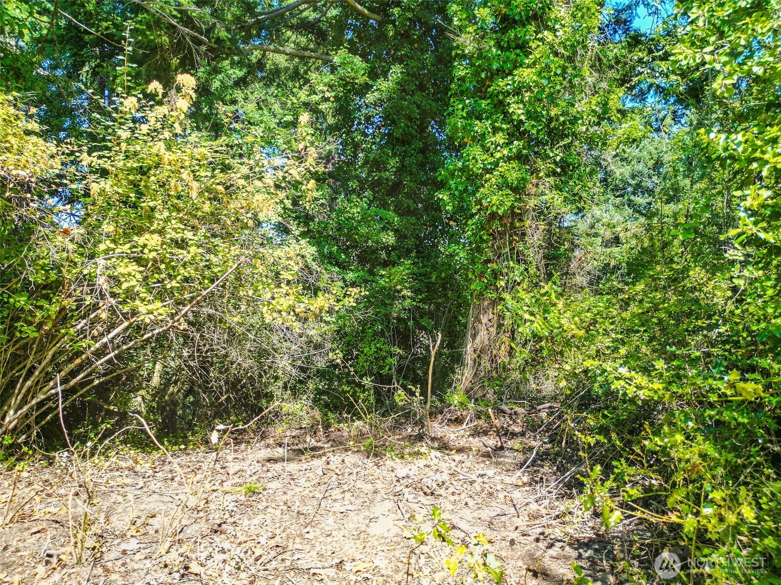 999 Reed Street Port Townsend, WA 98368 - Photo 12 of 16