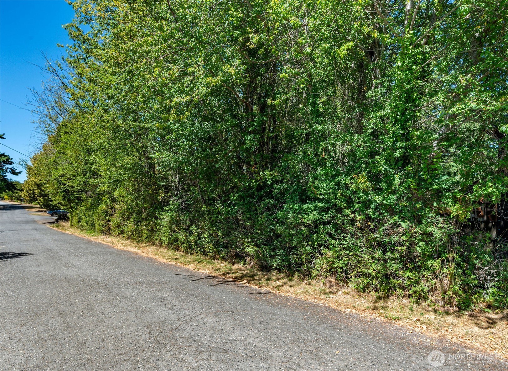 999 Reed Street Port Townsend, WA 98368 - Photo 2 of 16