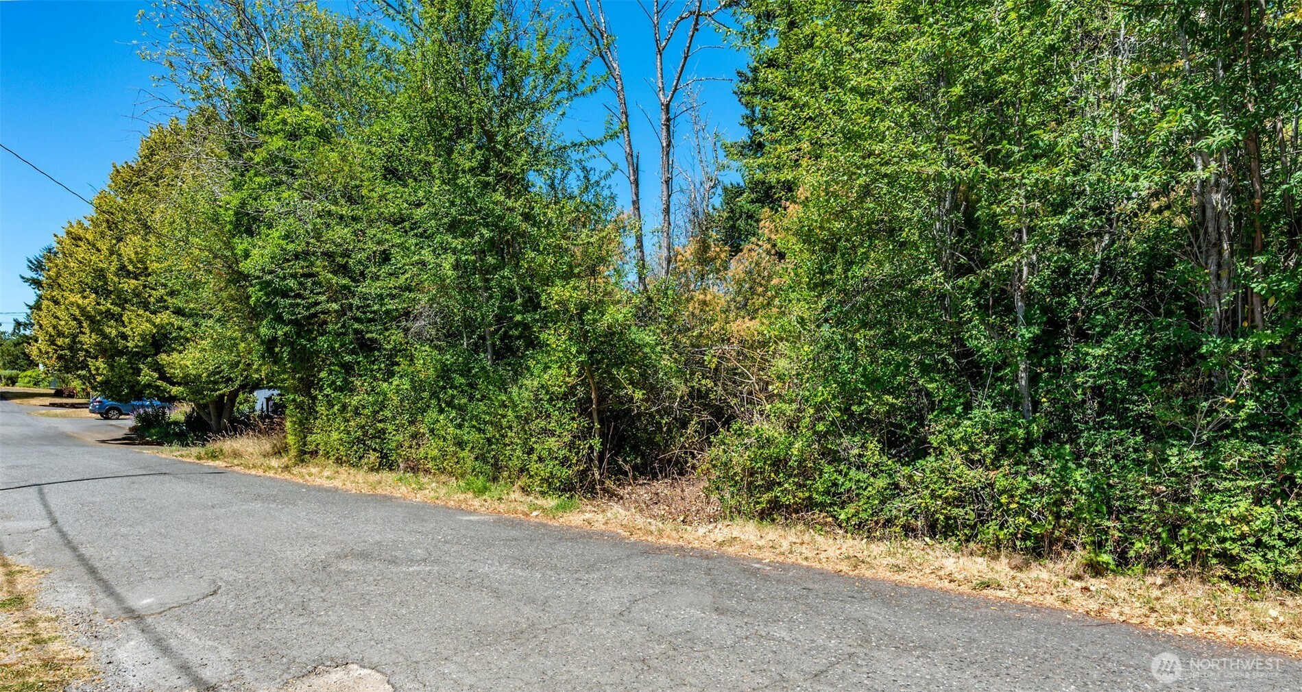 999 Reed Street Port Townsend, WA 98368 - Photo 3 of 16