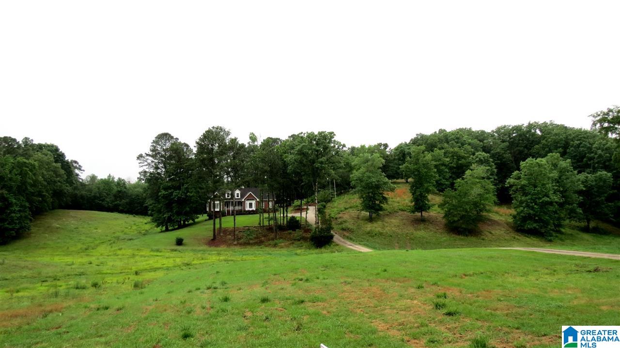 3499 Self Creek Road Pinson, AL 35126 - Photo 2 of 38