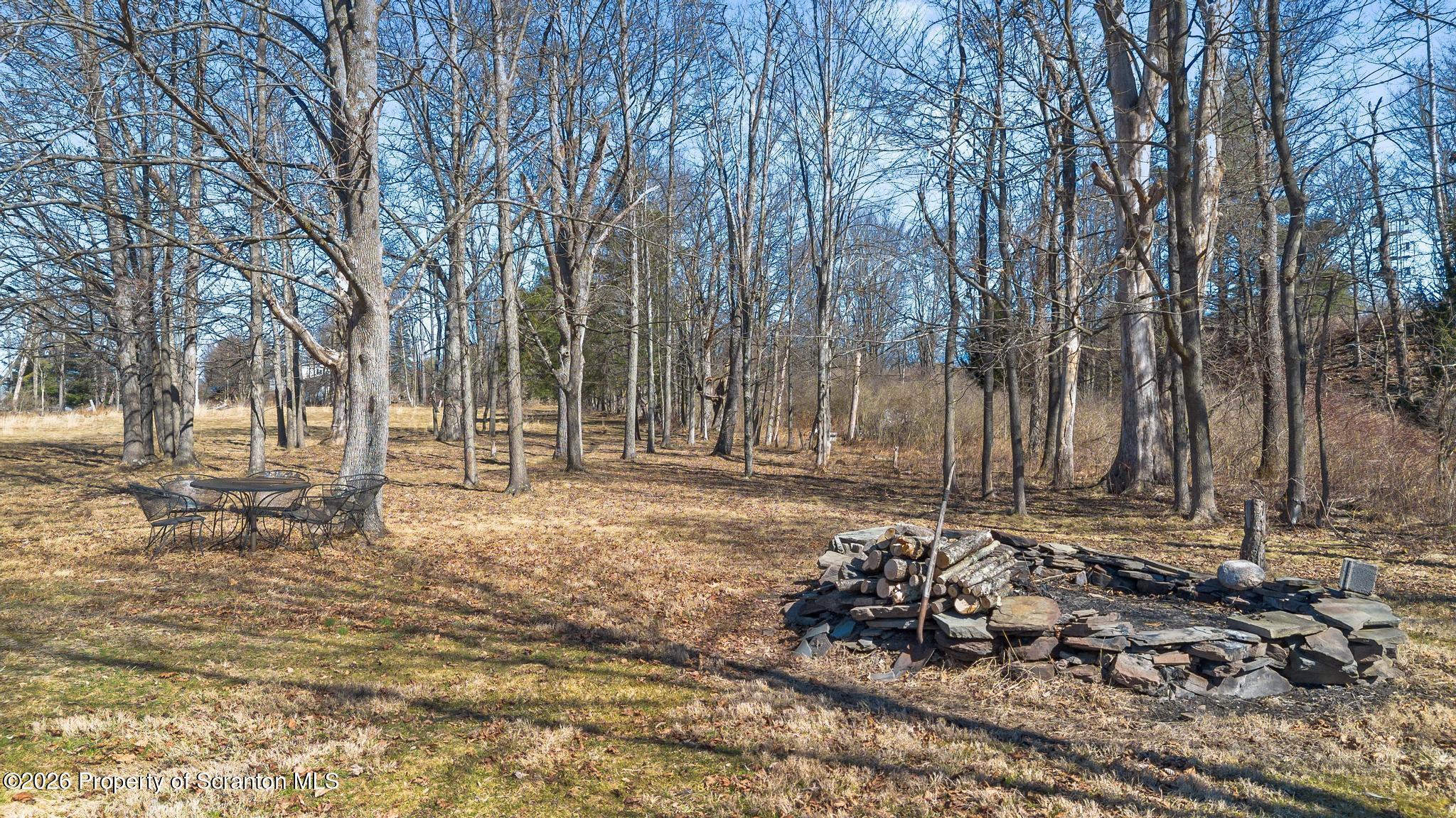 307 Lily Lake Road Dalton, PA 18414 - Photo 29 of 31 Yard