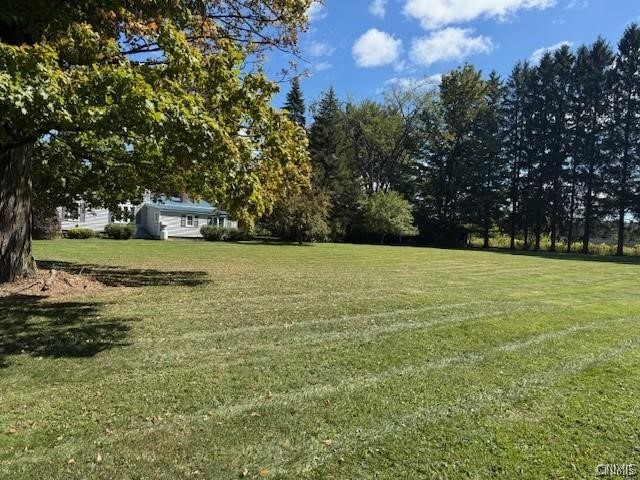 Mclean Road Cortland, NY 13045 - Photo 3 of 8