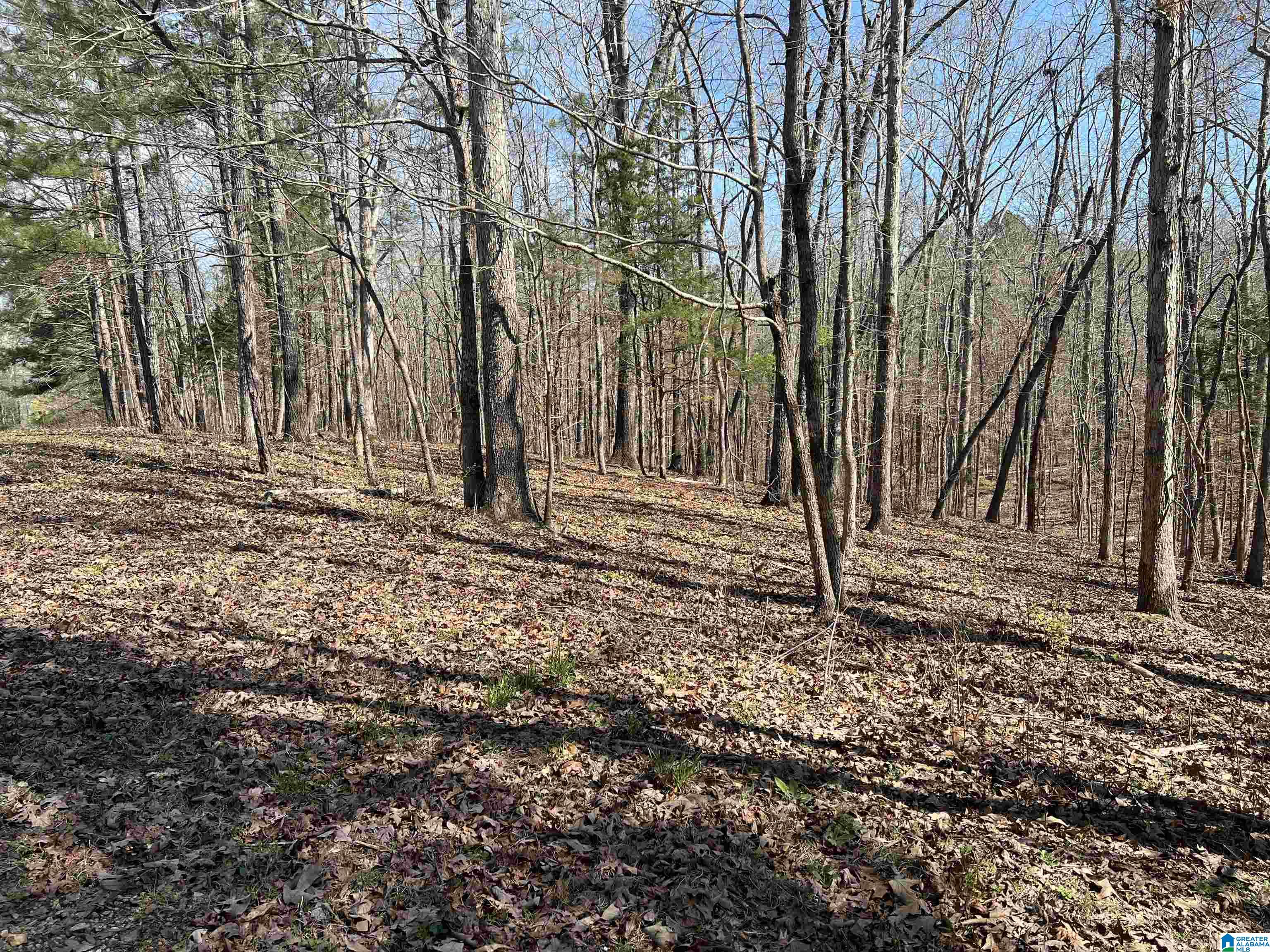 0 Springhollow Drive, Unit 12 Ashville, AL 35953 - Photo 3 of 17