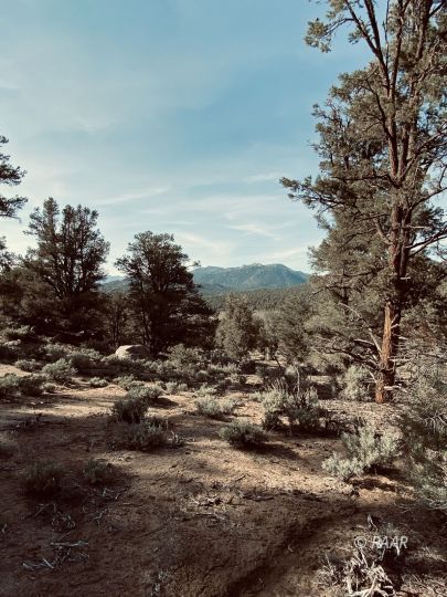 Sacatar Road Inyokern, CA 93527 - Photo 14 of 22 Gallery Image 14