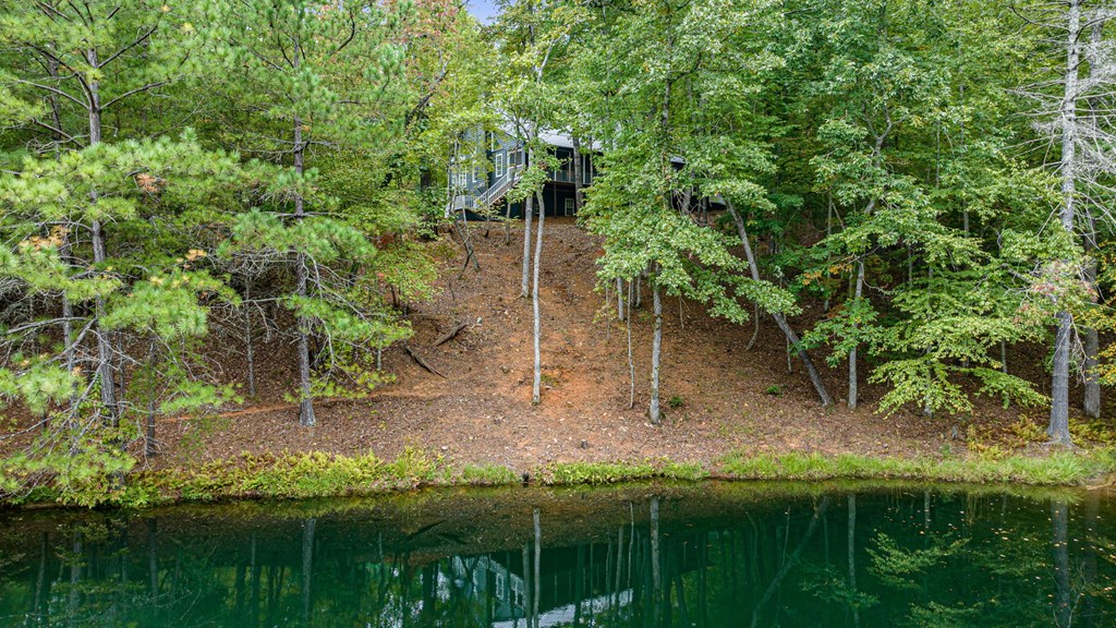 258 Apple Creek Road Blue Ridge, GA 30513 - Photo 63 of 67 Gallery Image 63
