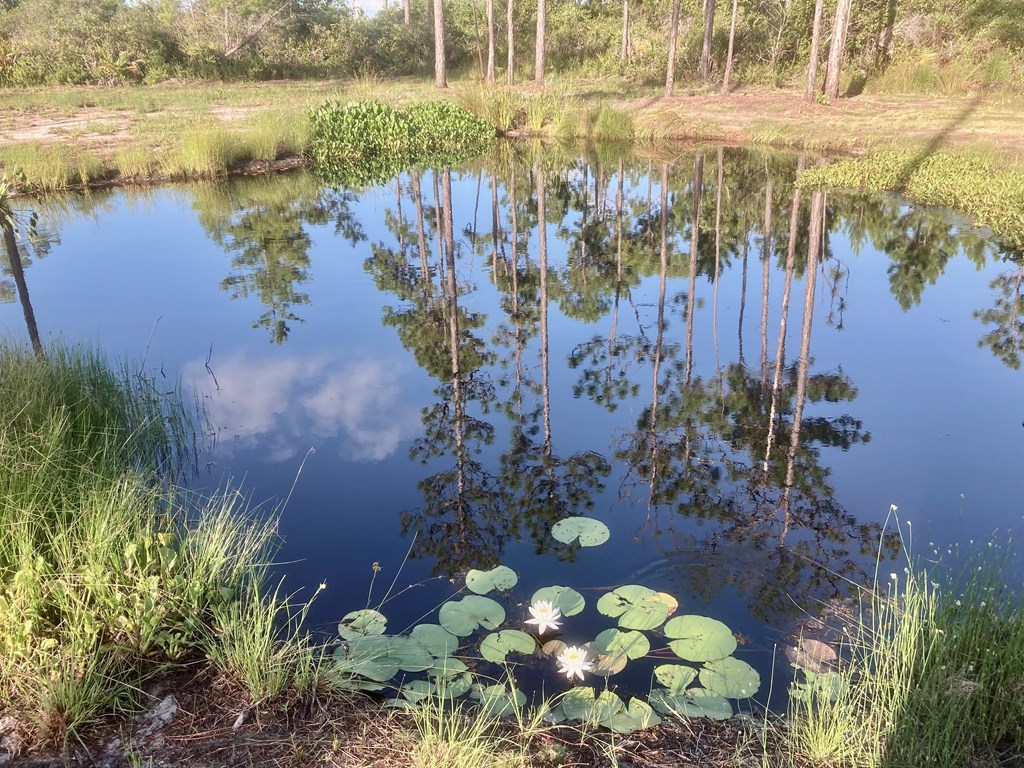 210 Ridgecrest Parkway Eastpoint, FL 32328 - Photo 18 of 21 Gallery Image 18