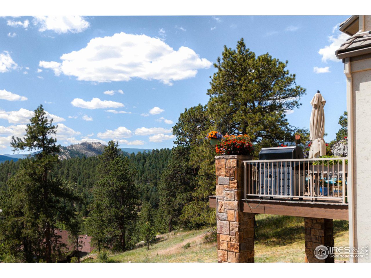 2964 Elk View Drive Evergreen, CO 80439 - Photo 3 of 40 a view of a yard with iron fence