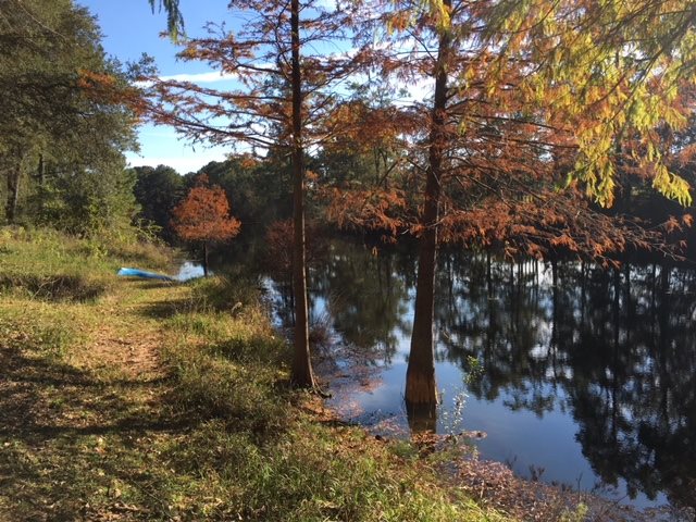 12360 Bromley Road Stapleton, AL 36578 - Photo 8 of 20 Peaceful Scenery