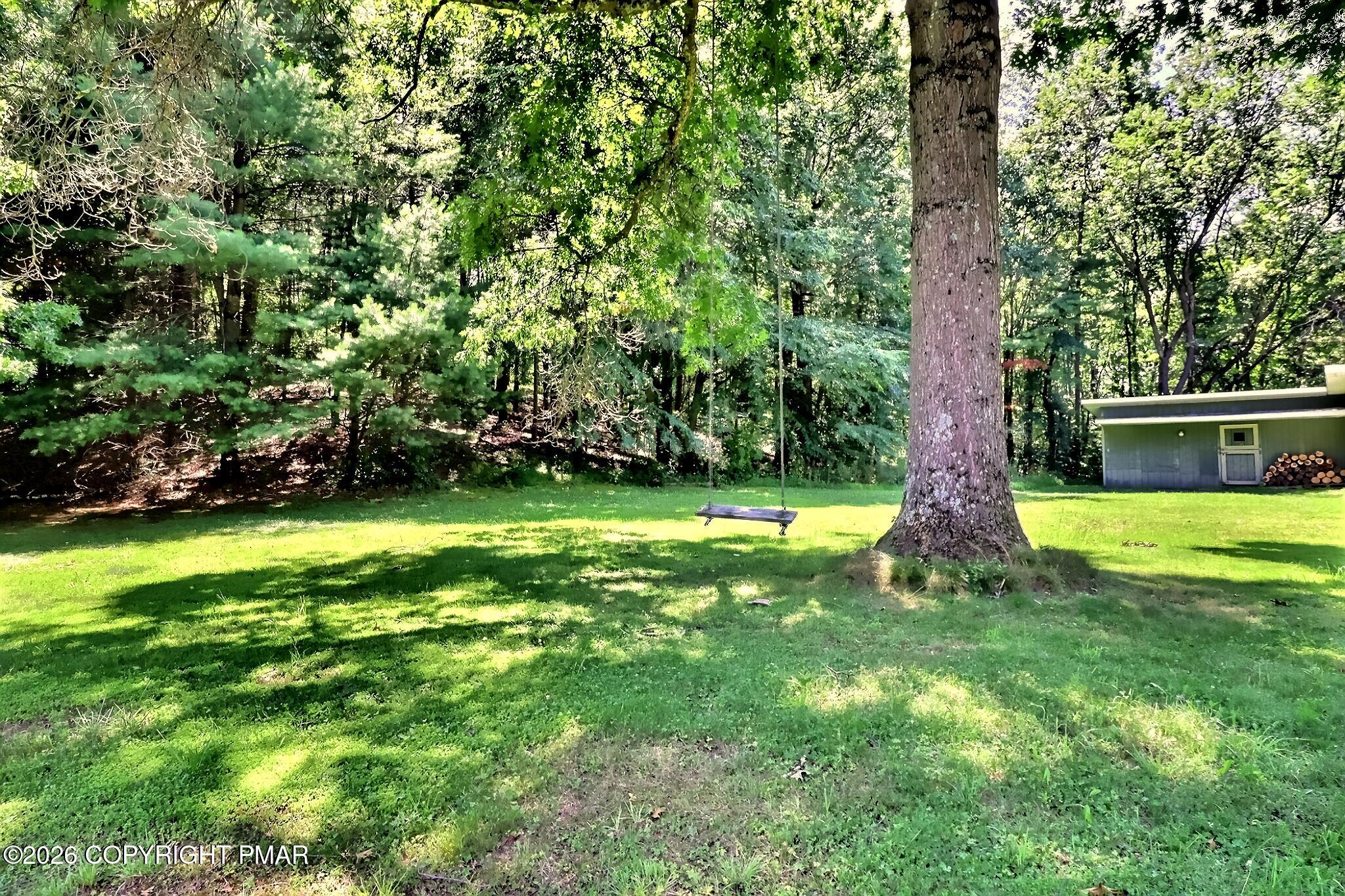 787 Polk Valley Road Stroudsburg, PA 18360 - Photo 26 of 99 Tree Swing
