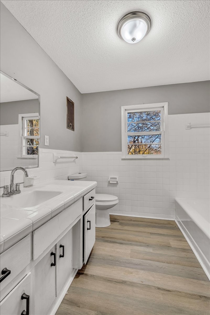 390 Junus Jackson Hollow Road Minor Hill, TN 38473 - Photo 21 of 38 a bathroom with a granite countertop sink a toilet and a mirror