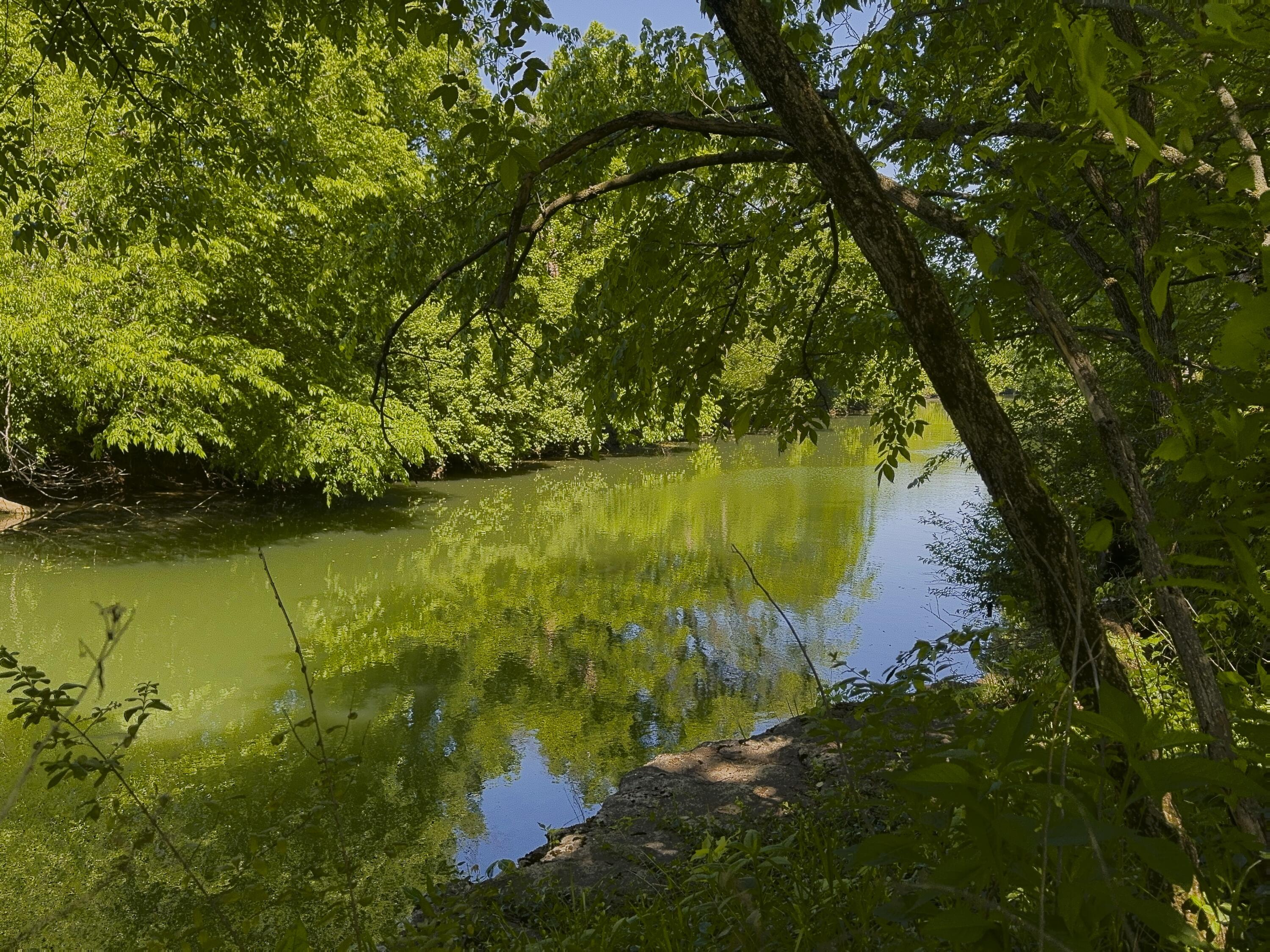 129 Morgan Mill Road Georgetown, KY 40324 - Photo 12 of 52 Creek 1