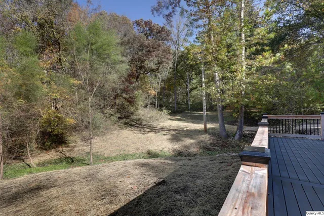 a view of backyard with wooden fence
