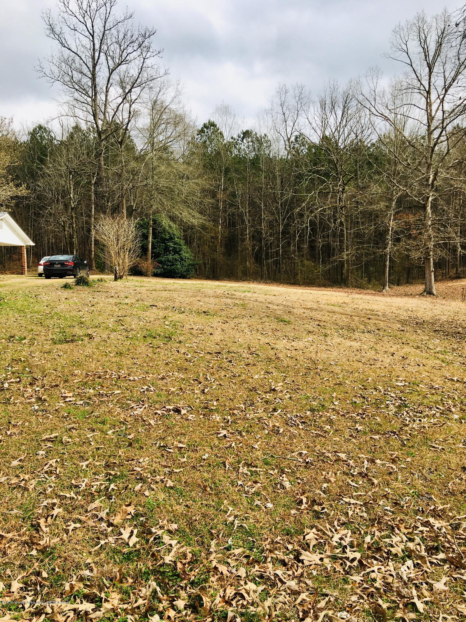 270 Ridgewood Drive Jasper, AL 35501 - Photo 3 of 19 Gallery Image 3