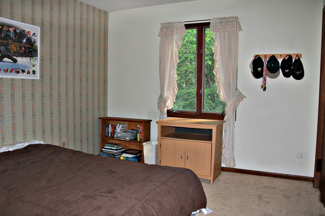 S863 Thorndon Ridge Drive Elburn, IL 60119 - Photo 11 of 22