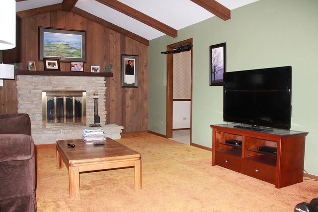 S863 Thorndon Ridge Drive Elburn, IL 60119 - Photo 3 of 22