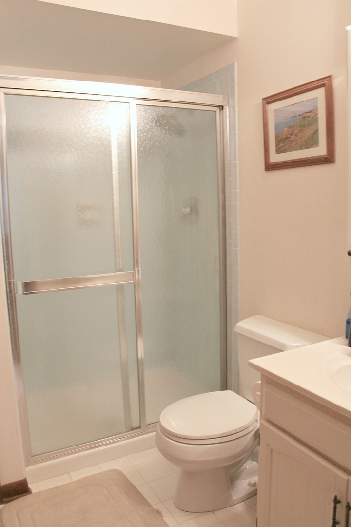S863 Thorndon Ridge Drive Elburn, IL 60119 - Photo 9 of 22