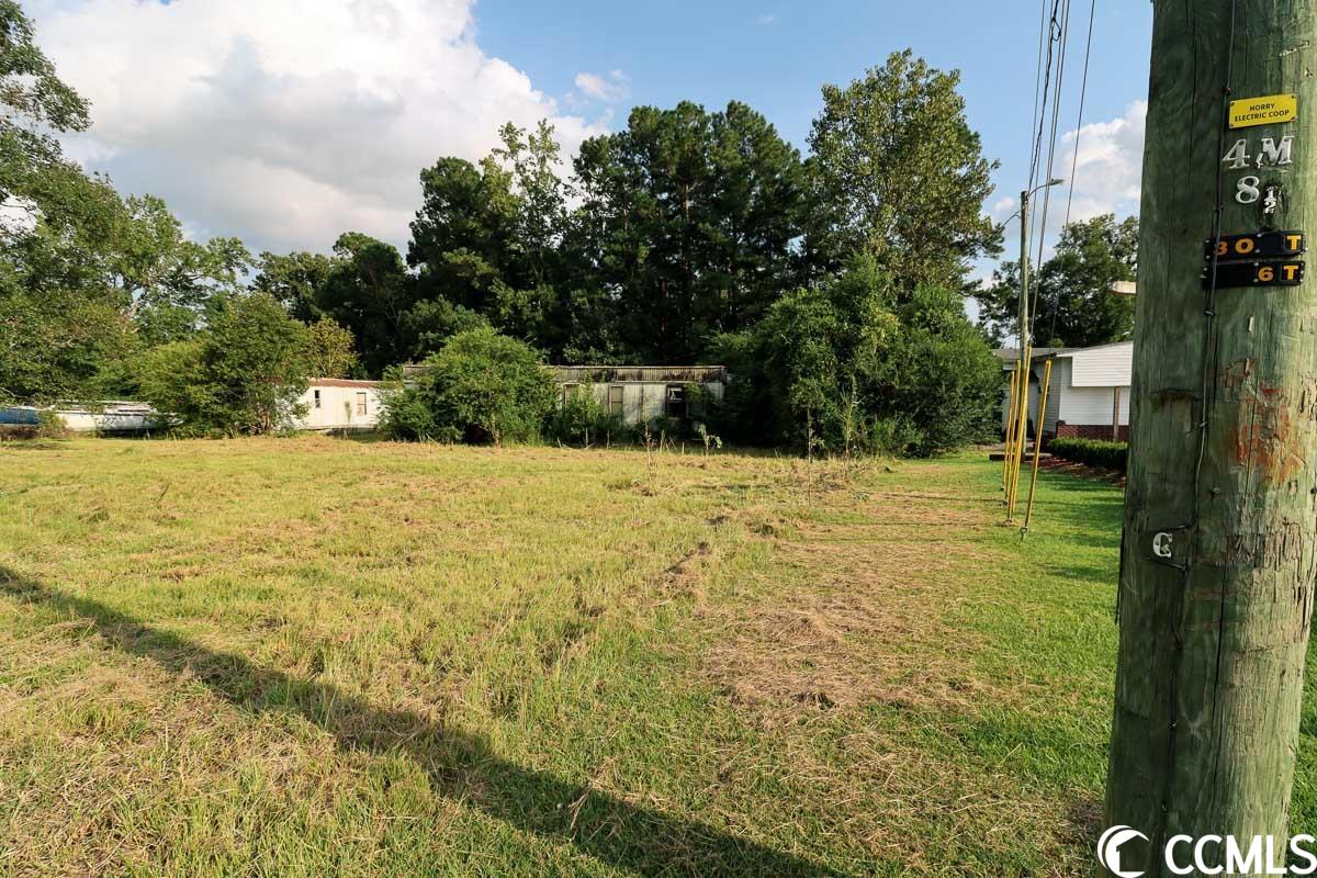 447 Dunn Short Cut Road Conway, SC 29527 - Photo 5 of 6 Gallery Image 5