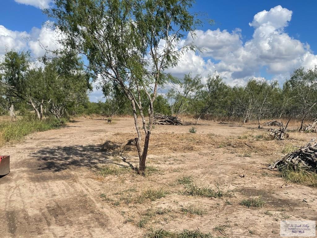 33223 Barlow Road San Benito, TX 78586 - Photo 9 of 12