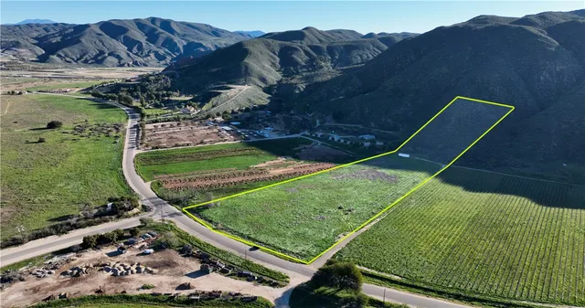 a view of a backyard with plants