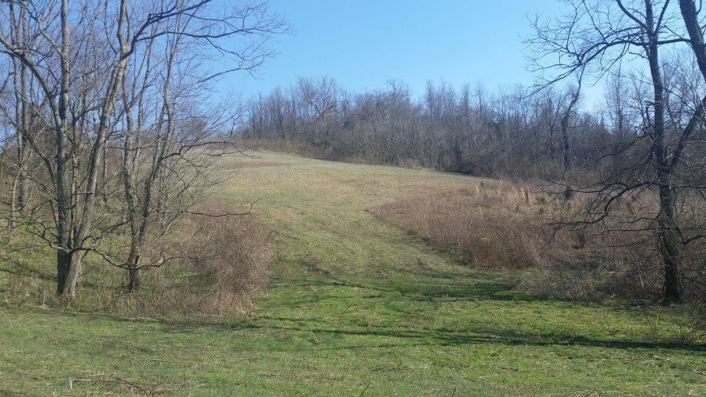 6915 Four Mile Road Winchester, KY 40391 - Photo 11 of 22 Photo 11