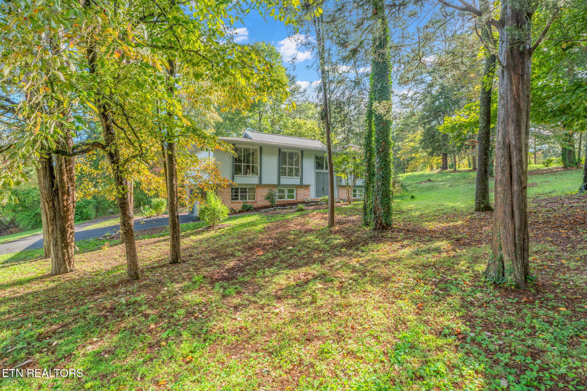 101 Newport Drive Oak Ridge, TN 37830 - Photo 5 of 51 Front