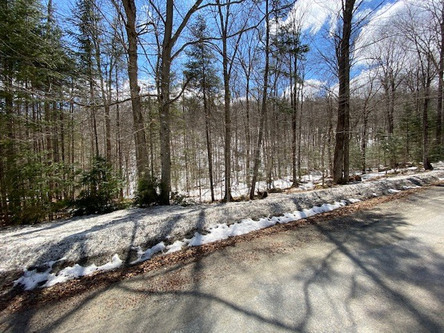94 Goodnow Flow Road Newcomb, NY 12852 - Photo 24 of 25 Gallery Image 24