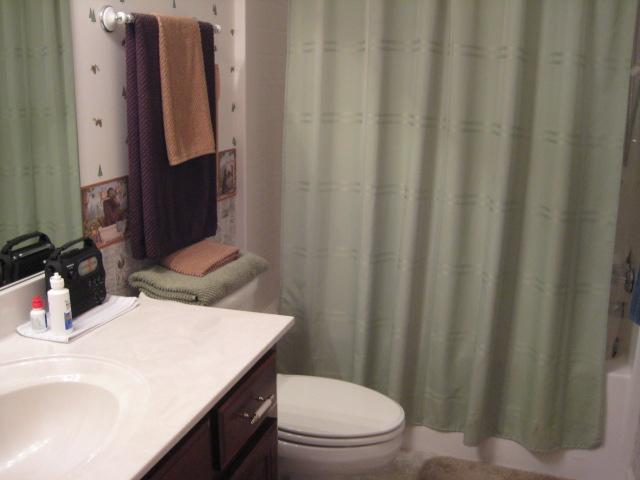 584 Old Shannon Road Lebanon, TN 37090 - Photo 8 of 20 Master Bath.