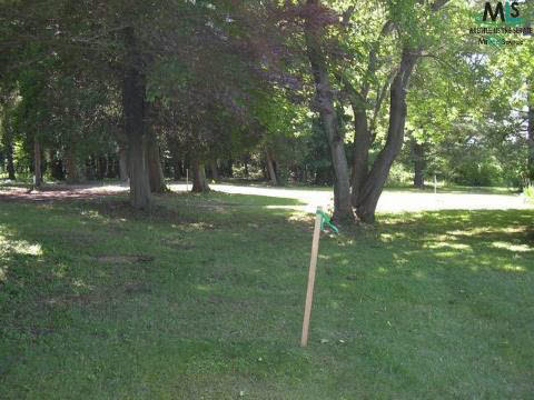 0 Parcel 3 Lakeshore Road Lexington, MI 48450 - Photo 6 of 14 911495-5.JPG
