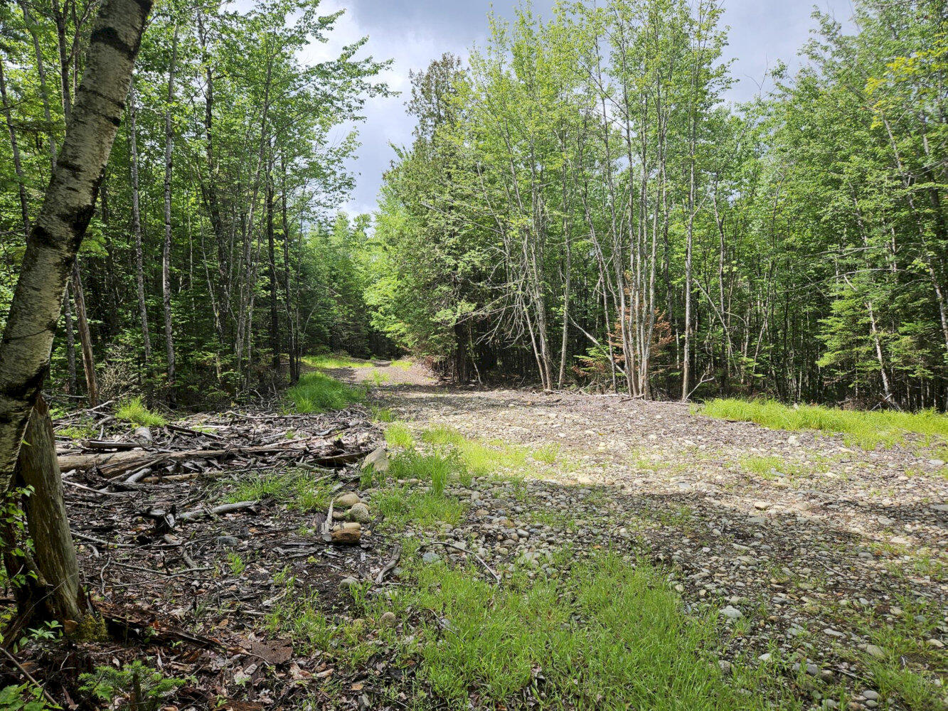 M10-l12-2 Ledge Road Embden, ME 04958 - Photo 10 of 14 20260627_111452_result