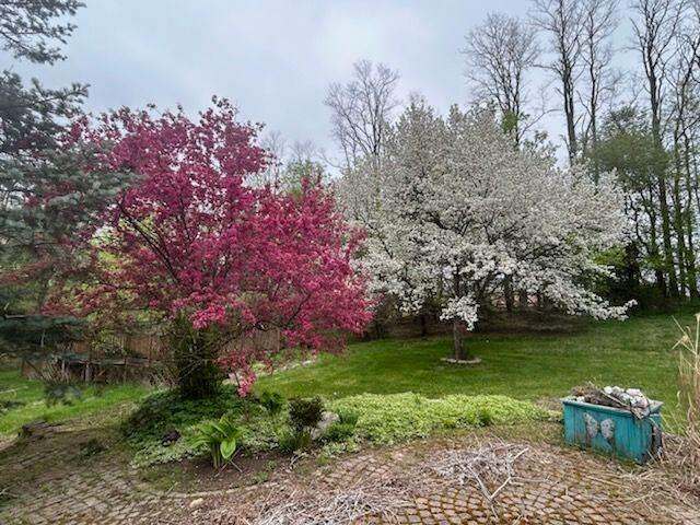 10770 Snow Road Hanover, MI 49241 - Photo 8 of 37 Landscape 1