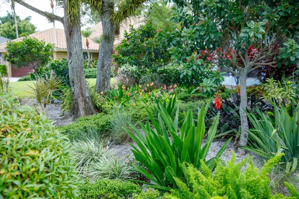 a view of a garden with plants and flowers