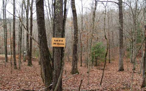 8 Fightingtown Creek Road Epworth, GA 30541 - Photo 1 of 1 Main View