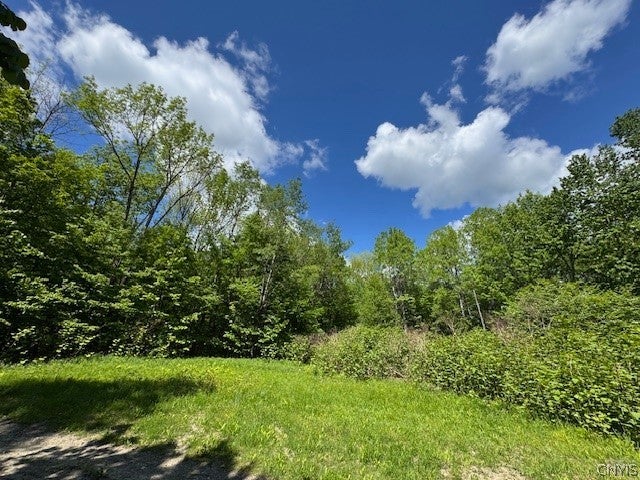 Harris Road Cincinnatus, NY 13040 - Photo 5 of 22 Gallery Image 5