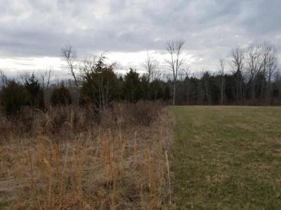 11828 Pollard Road Moores Hill, IN 47032 - Photo 4 of 8 Gallery Image 4