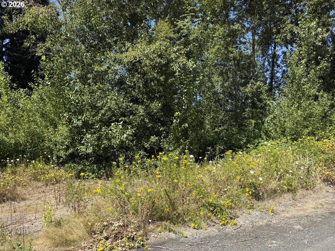 West Powell Loop Gresham, OR 97030 - Photo 3 of 7