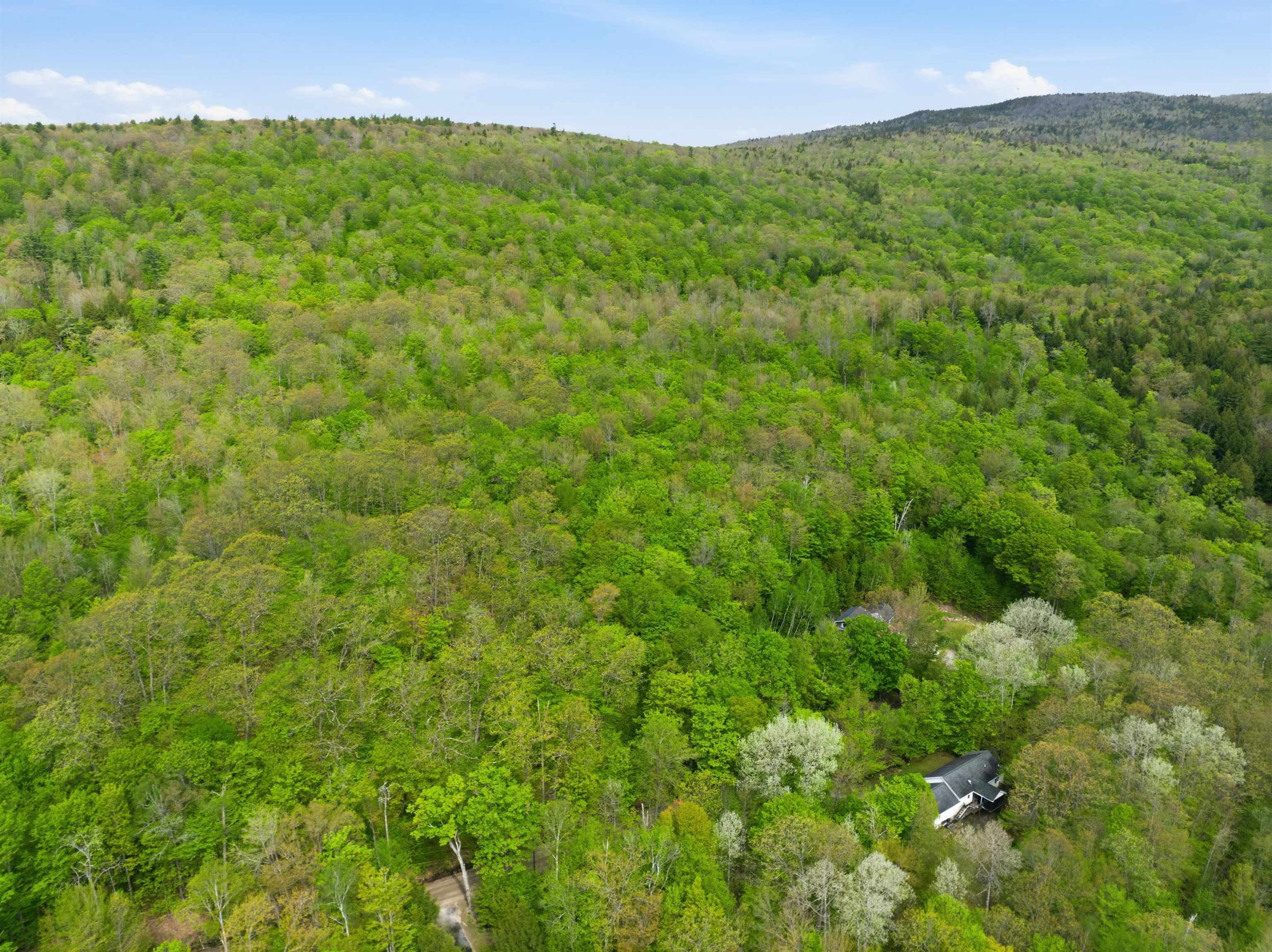 339 George Road Hebron, NH 03241 - Photo 45 of 58