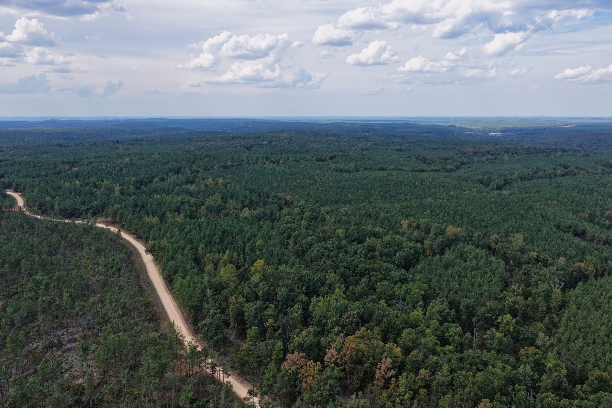 0 Coy Hill Road Savannah, TN 38372 - Photo 12 of 31 Gallery Image 12