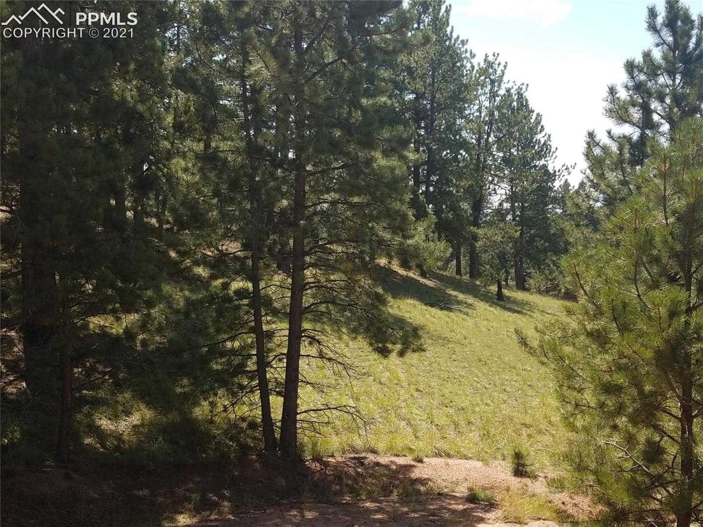 26 Southgate Road Florissant, CO 80816 - Photo 1 of 10 Gallery Image 1