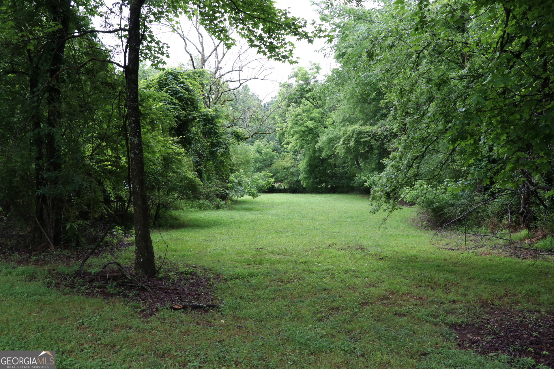 833 Neal Gap Road Summerville, GA 30747 - Photo 14 of 86