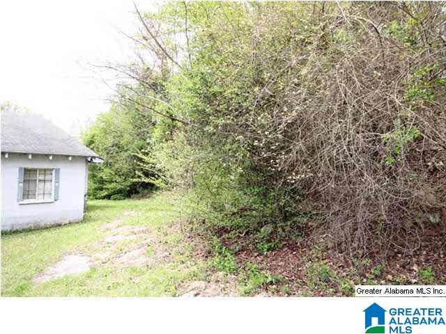 0 Pace Street Anniston, AL 36207 - Photo 20 of 28