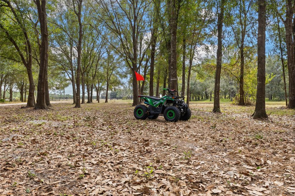 4940 Wauchula Road Myakka City, FL 34251 - Photo 66 of 77