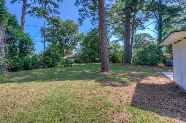 a view of a yard with a tree