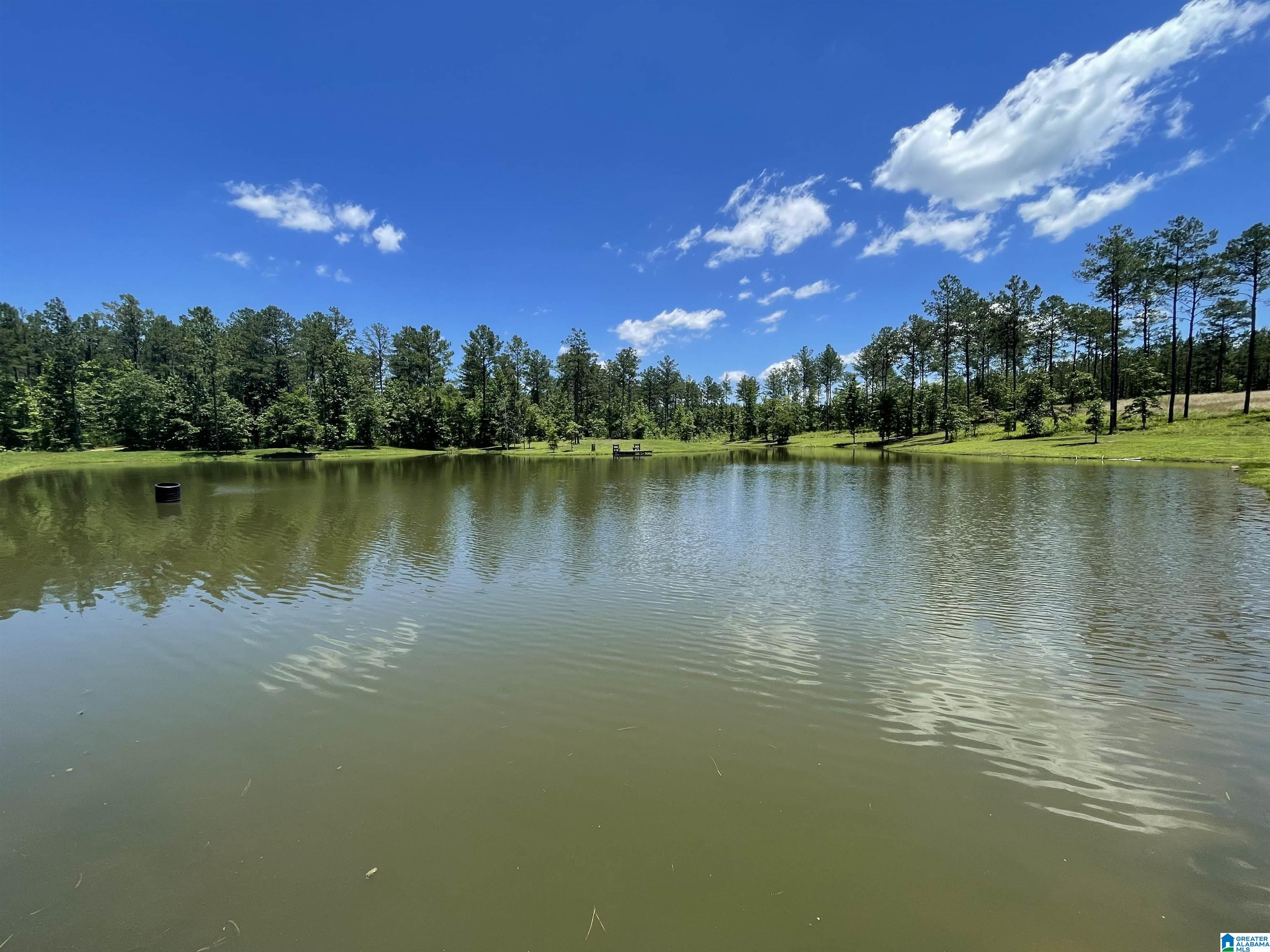 0 Chelsea Farms Road, Unit 24 Chelsea, AL 35043 - Photo 1 of 37