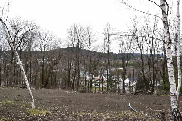 $19,900 | Lot 26 Lafayette Street, Unit 26, St. Johnsbury, VT 05819