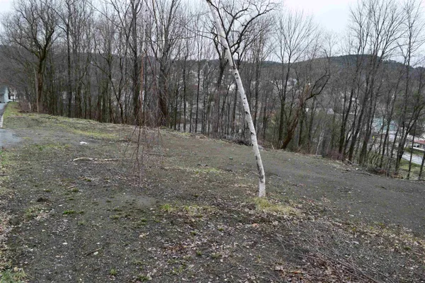 $19,900 | Lot 26 Lafayette Street, Unit 26, St. Johnsbury, VT 05819