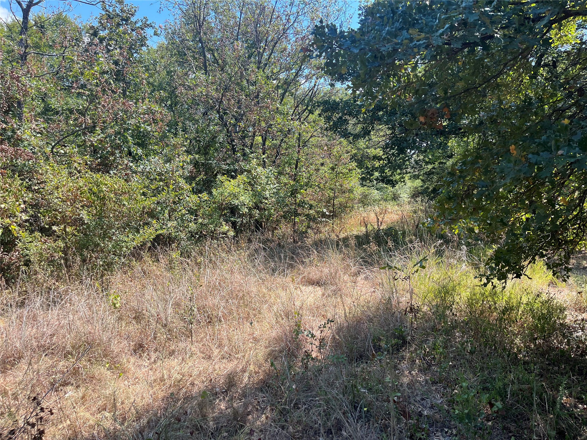 Kickapoo Avenue Kingston, OK 73439 - Photo 4 of 9 Additional content