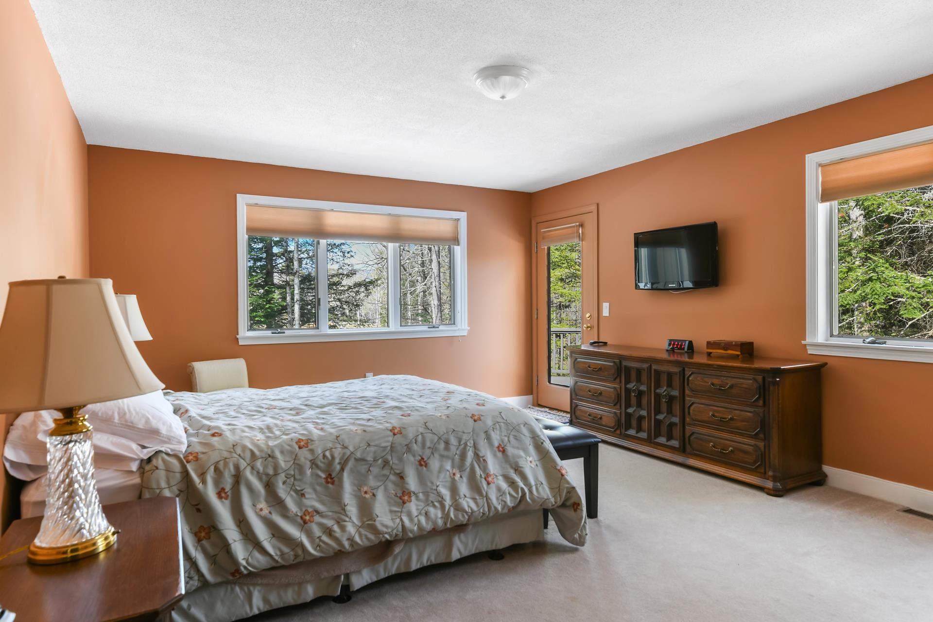 71 Greensward Drive Grantham, NH 03753 - Photo 26 of 53