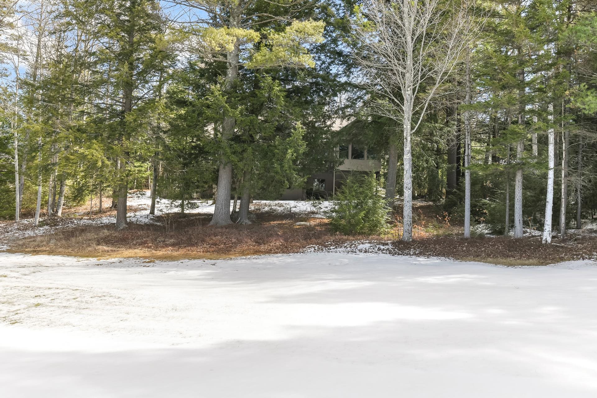 71 Greensward Drive Grantham, NH 03753 - Photo 3 of 53