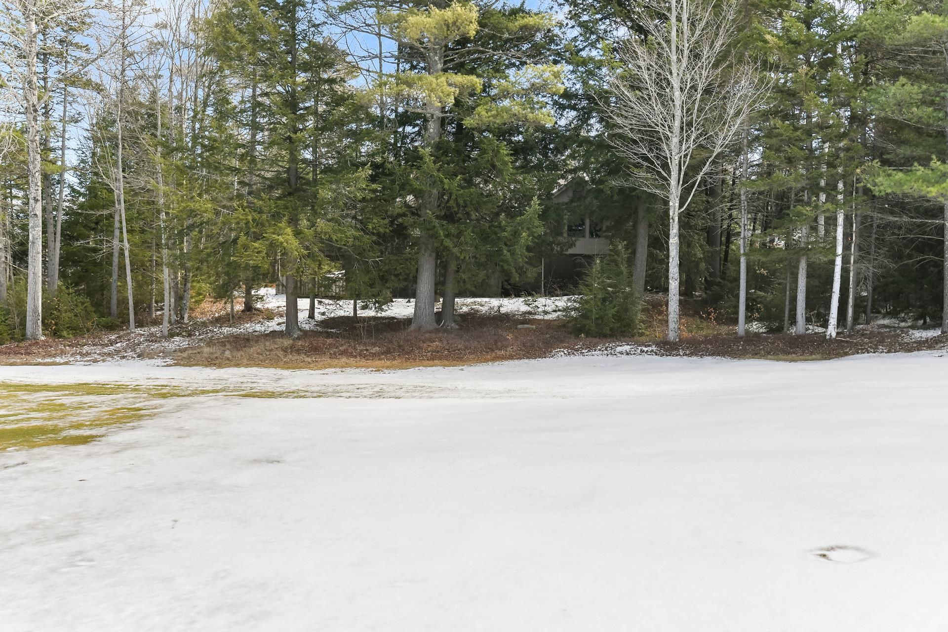 71 Greensward Drive Grantham, NH 03753 - Photo 46 of 53